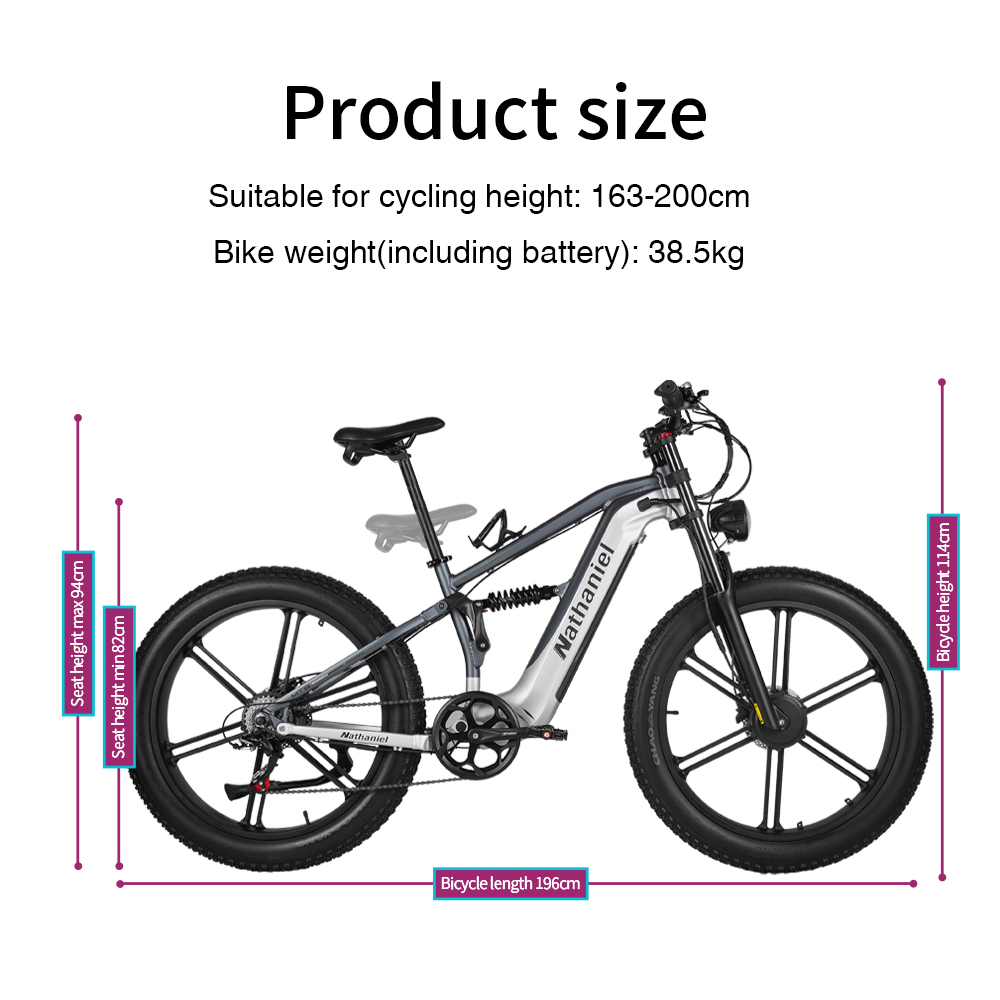 Электрический велосипед Nathan – обзор и цена Dual Motor Ebike Kit 2000W